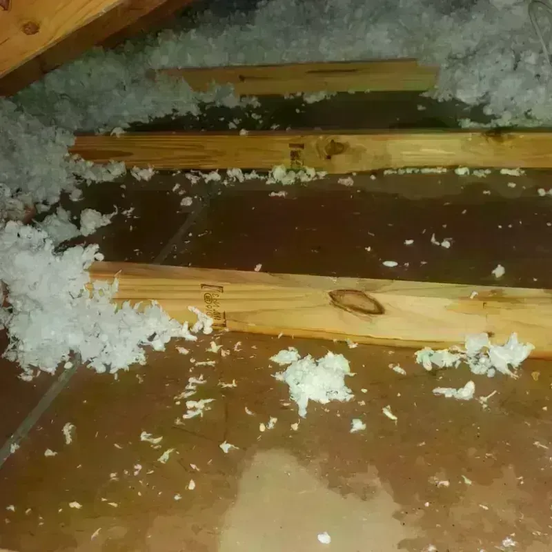 Attic Water Damage in Penrose, CO